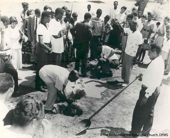 Trees Being Planted To Represent Friendship