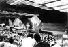 [thumbnail: # 75350/5    Presiding Bi...]