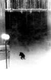 [thumbnail: A lone man battles the el...]