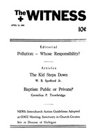 The Witness 1969 cover