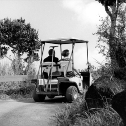 Allin And Ann In Golf Cart