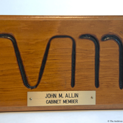 VIM Plaque Artifact 69